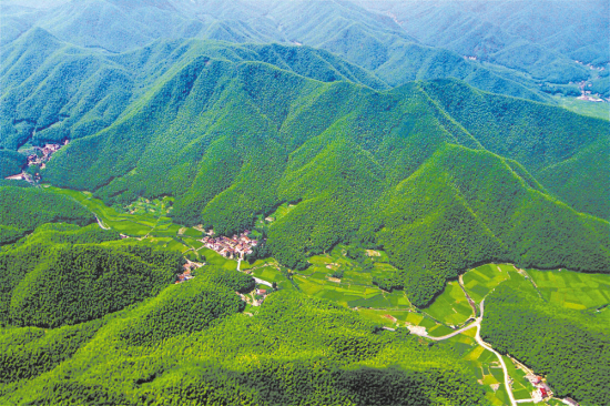 生态治理的中国奇迹 | 天更蓝、山更绿、水更清、环境更优美(图1)