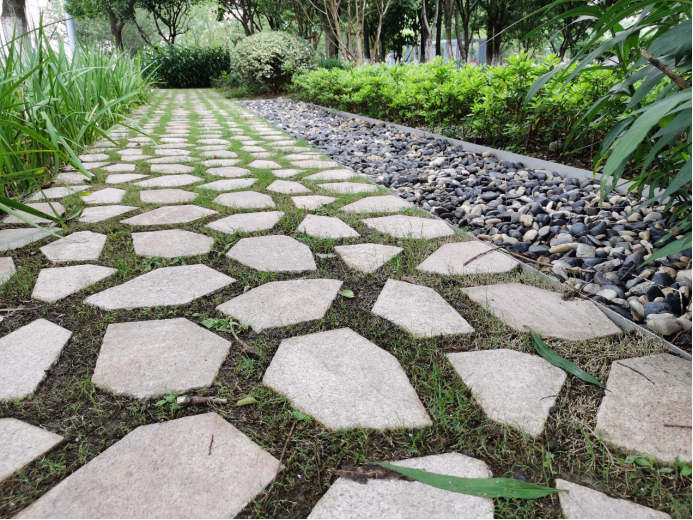 无锡滨湖：“智慧治水”让城市不再“看海”(图1)