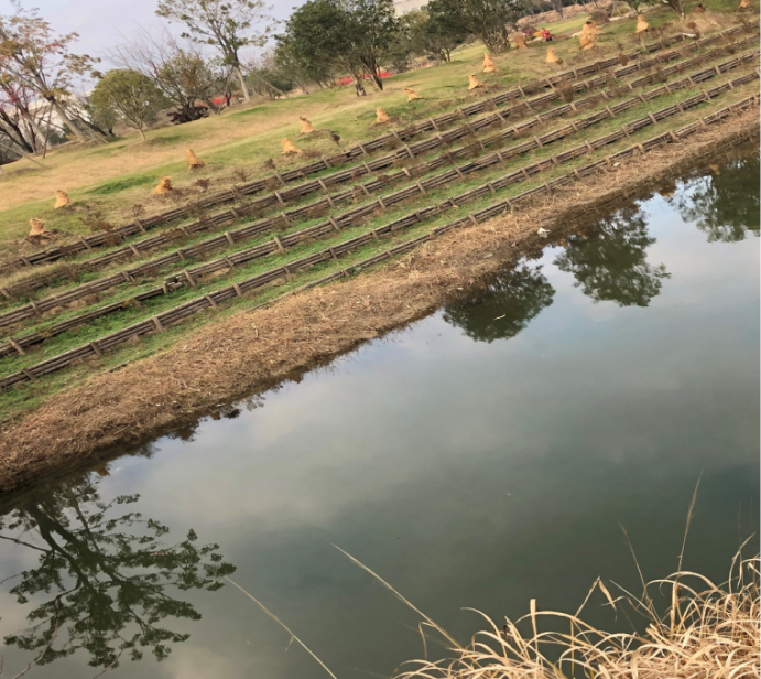 无锡滨湖：“智慧治水”让城市不再“看海”(图2)