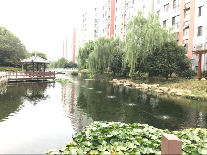 无锡滨湖：“智慧治水”让城市不再“看海”(图4)